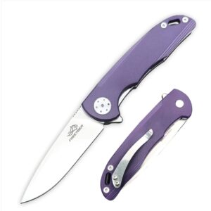 FREETIGER FT901-PR D2 Blade G10 Handle Liner Lock Folding Knife